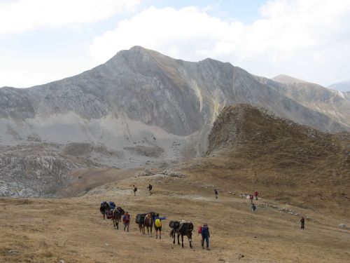 trekking con i muli-213.jpg